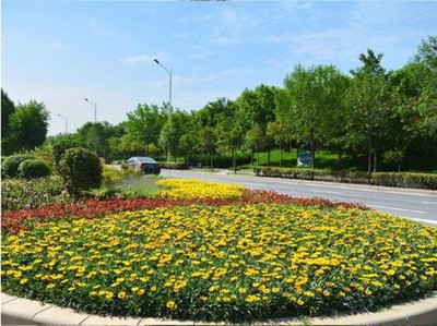 沈陽沈北新區園林綠化養護與花卉樹木種植費用解析